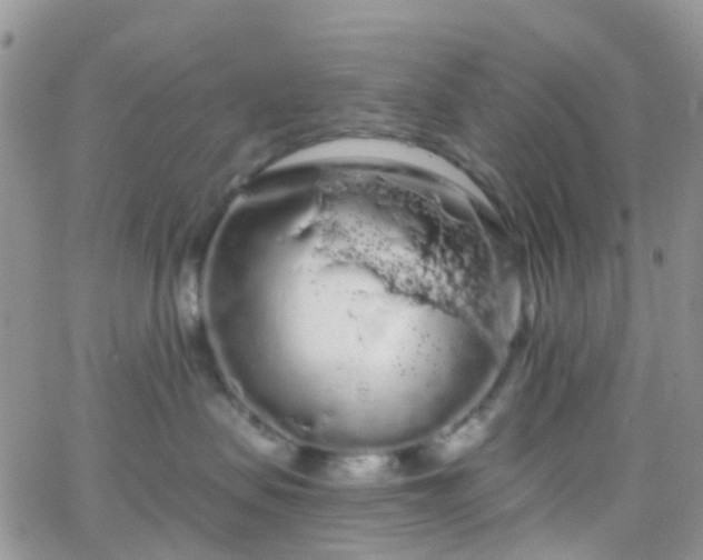 X0000066090479200603171100