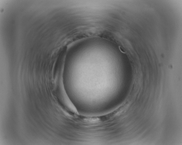 X0000066090480200603171100