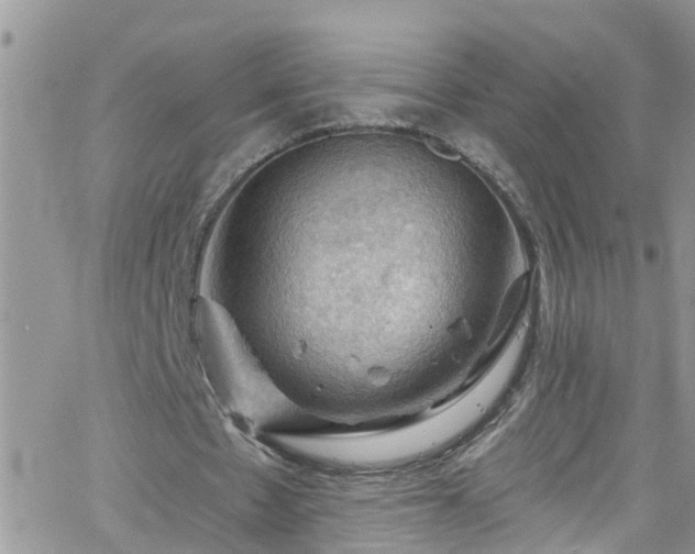 X0000066090481200603171059