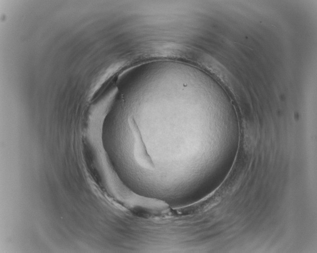 X0000066090482200603171059