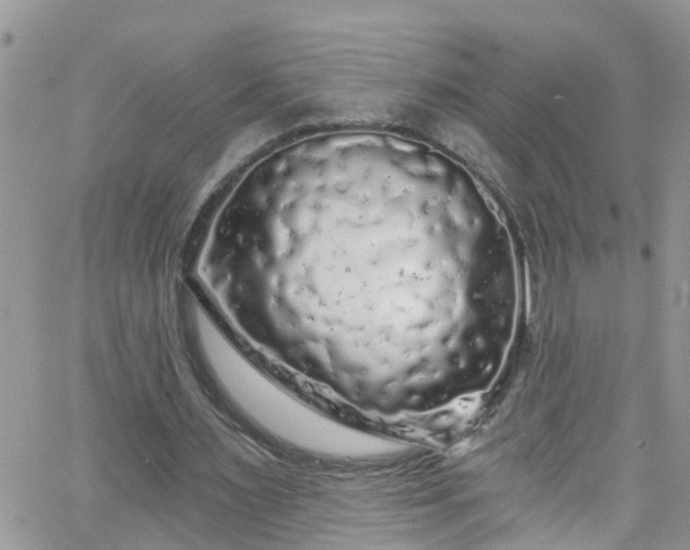 X0000066090483200603171059