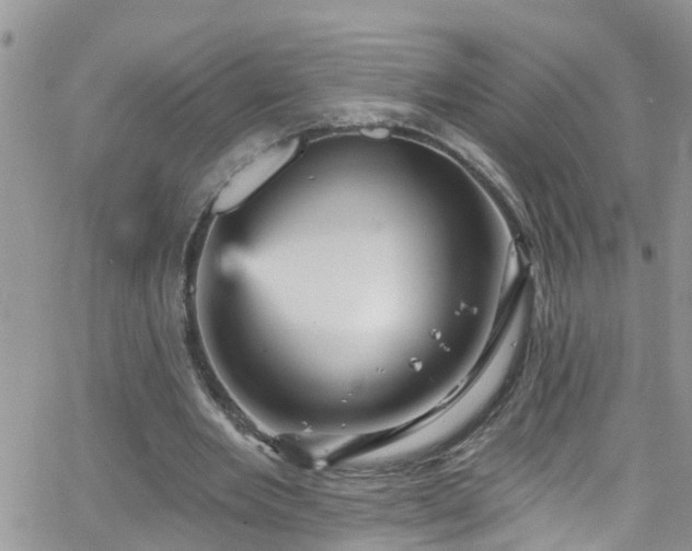 X0000066090485200603171059