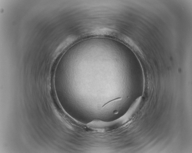 X0000066090486200603171059