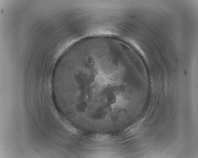 X0000066090487200603171059