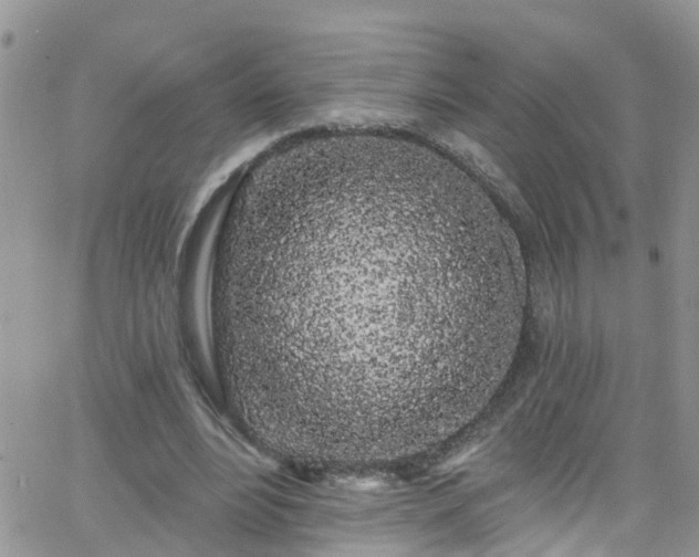 X0000066090488200603171059