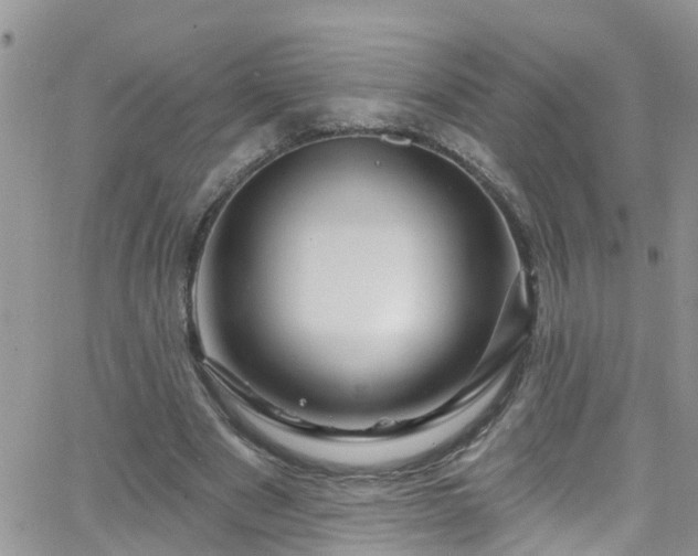 X0000066090489200603171059