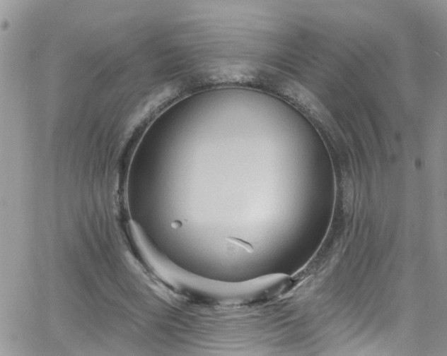 X0000066090490200603171059