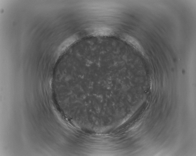 X0000066090491200603171059