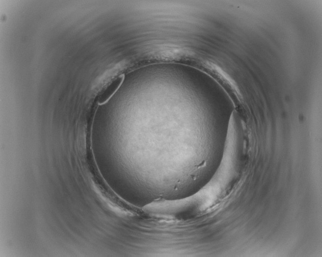 X0000066090493200603171059