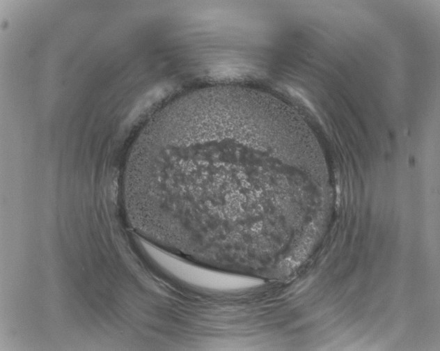 X0000066090495200603171059