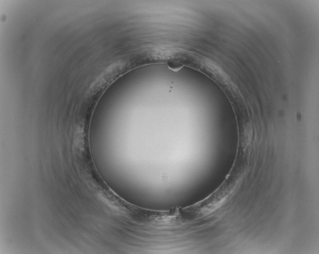 X0000066090497200603171059