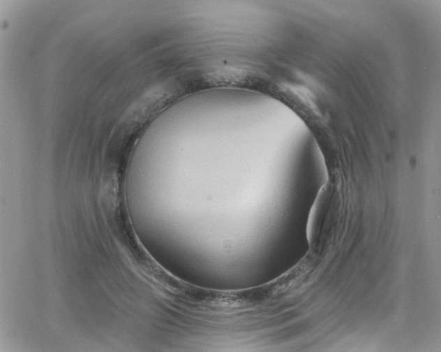 X0000066090498200603171059