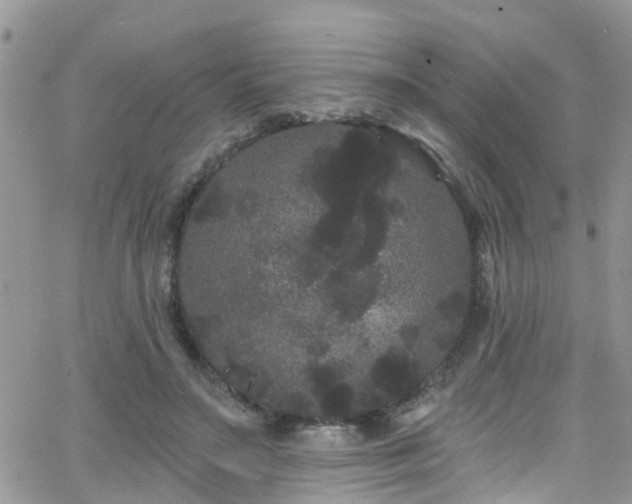 X0000066090499200603171059