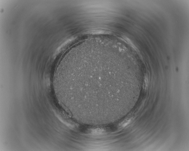 X0000066090500200603171059