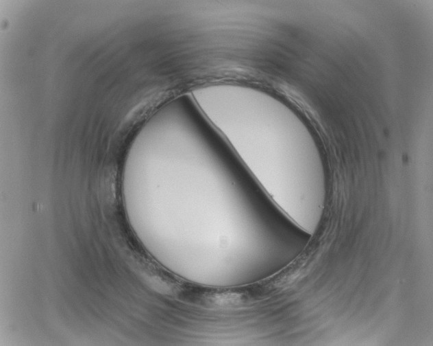 X0000066090501200603171059