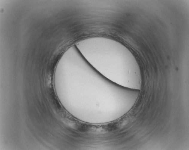 X0000066090502200603171059