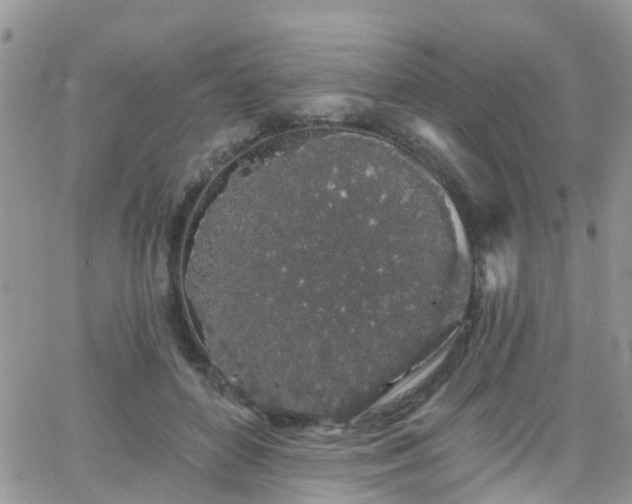 X0000066090504200603171059