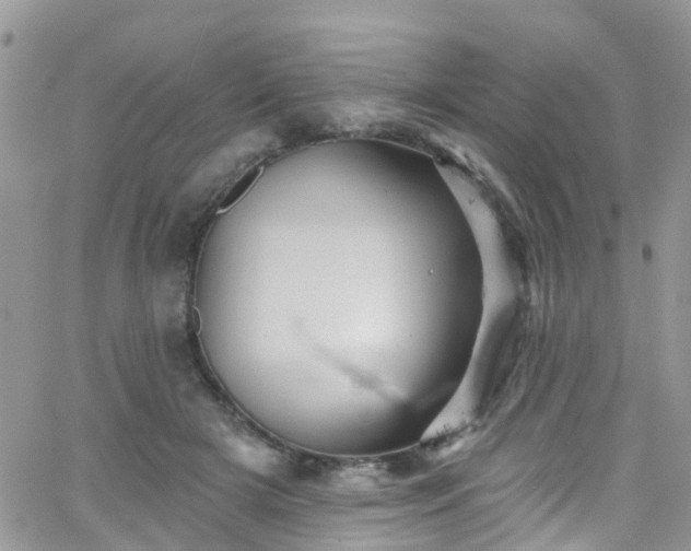 X0000066090505200603171059