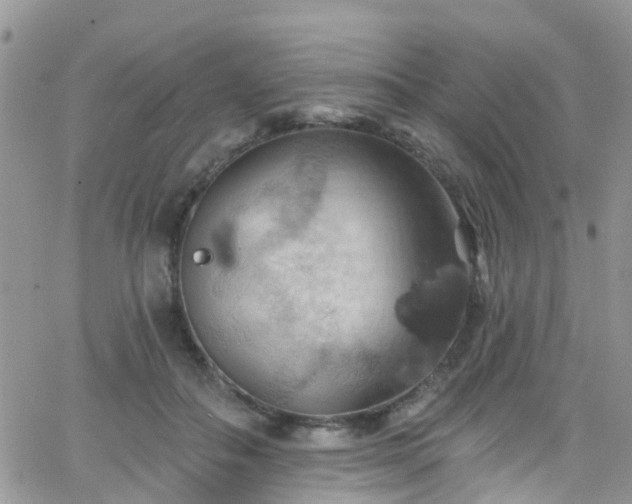 X0000066090506200603171059