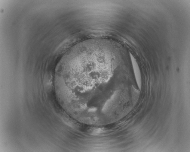 X0000066090507200603171059