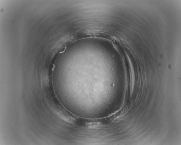 X0000066090508200603171059