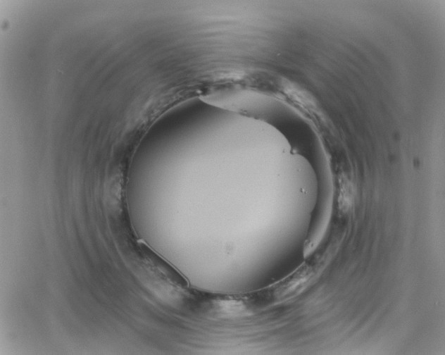 X0000066090509200603171059