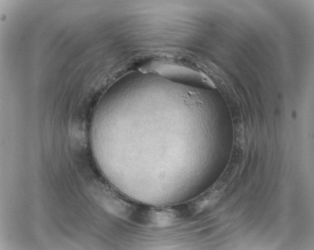 X0000066090510200603171059