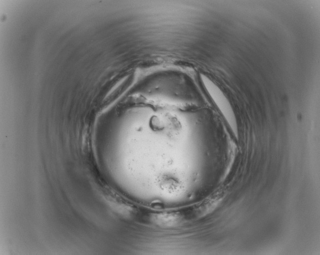 X0000066090511200603171059