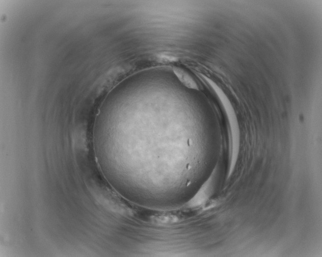 X0000066090512200603171059