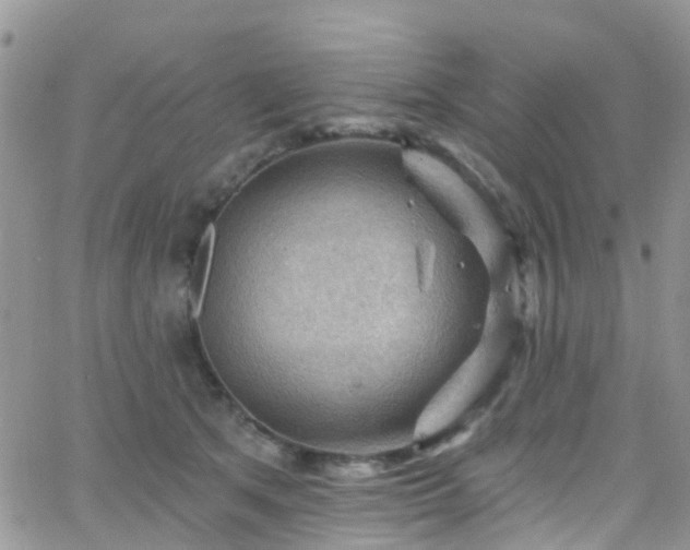 X0000066090513200603171059