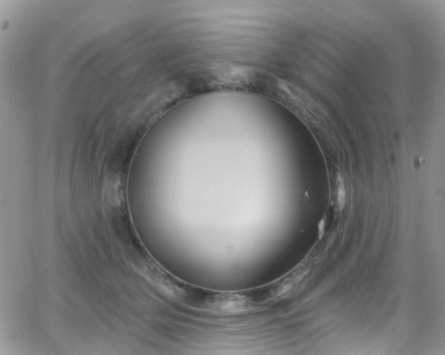 X0000066090514200603171059