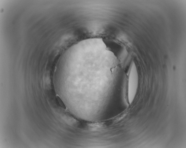 X0000066090516200603171059