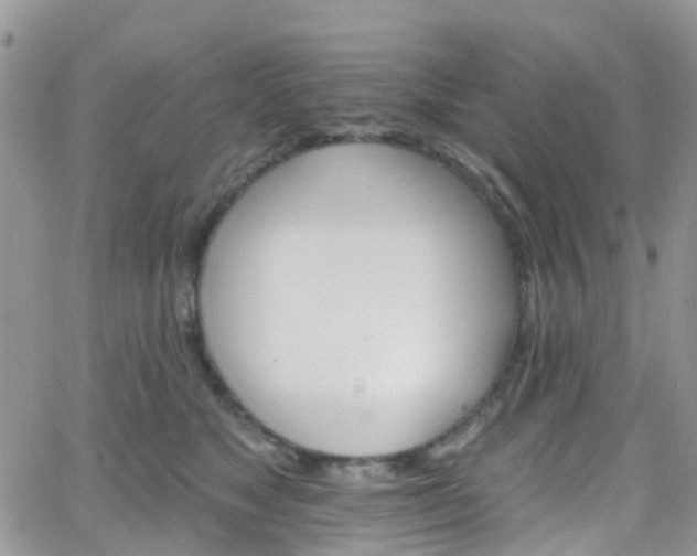 X0000066090517200603171059