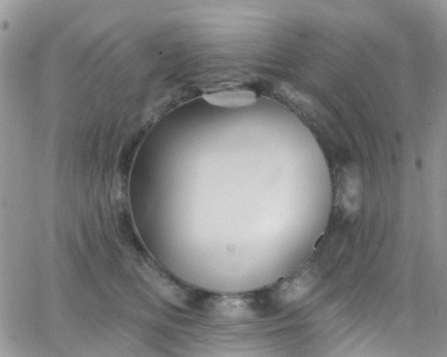 X0000066090518200603171058