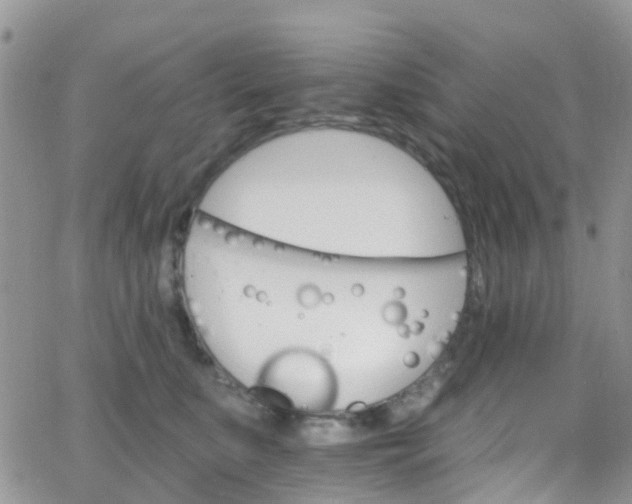 X0000066090519200603171058