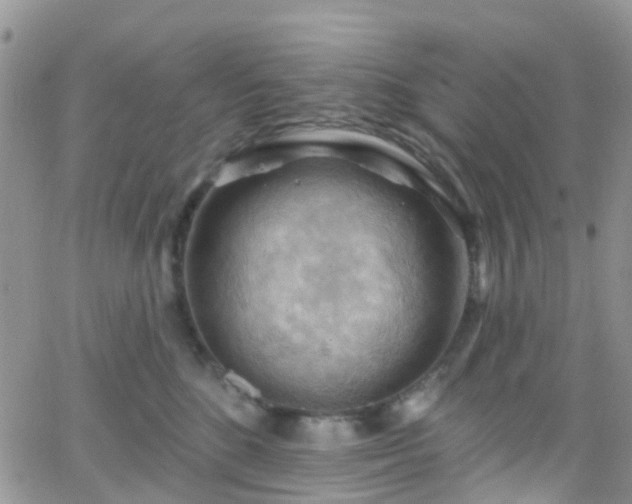 X0000066090520200603171058