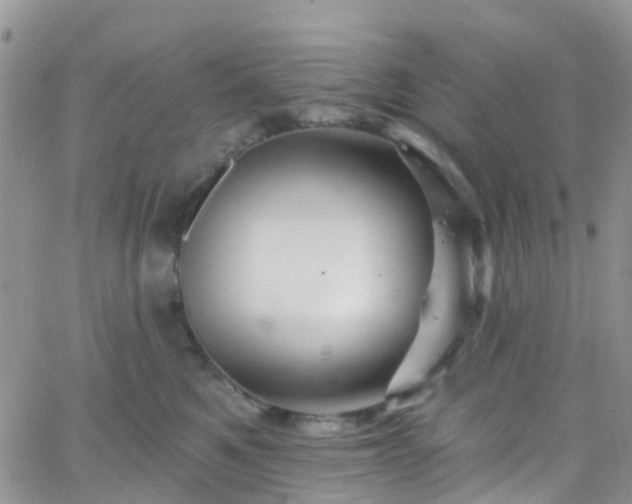 X0000066090521200603171058