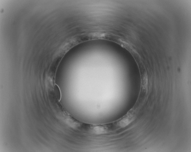 X0000066090522200603171058