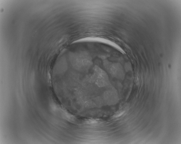 X0000066090523200603171058