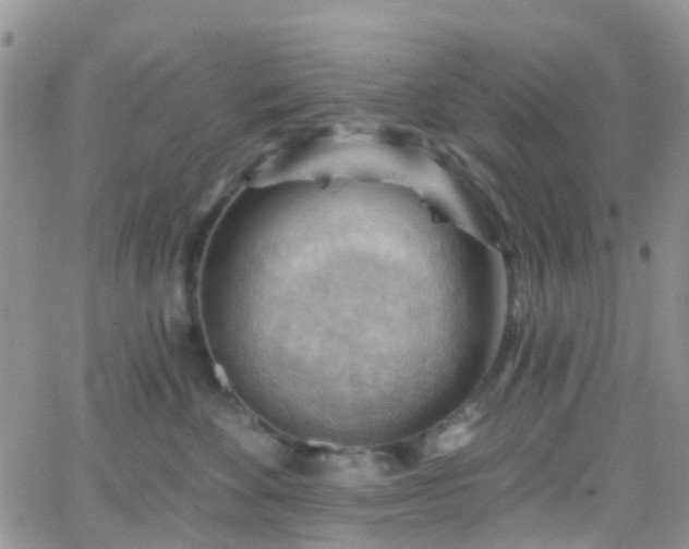 X0000066090524200603171058