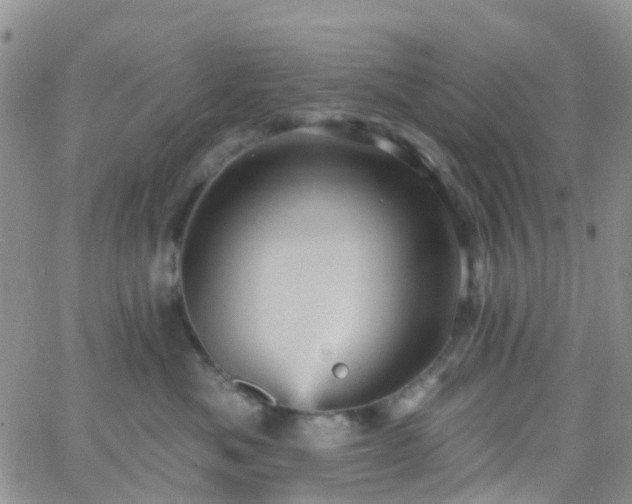 X0000066090525200603171058