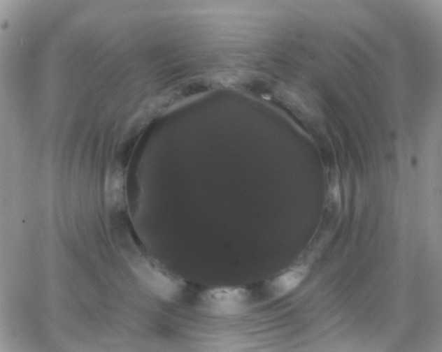 X0000066090526200603171058