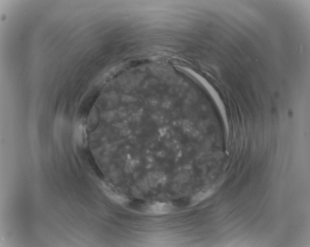 X0000066090527200603171058