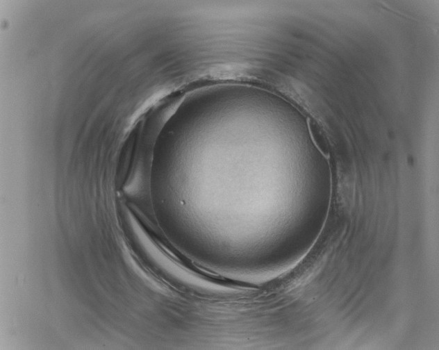 X0000066090530200603171058