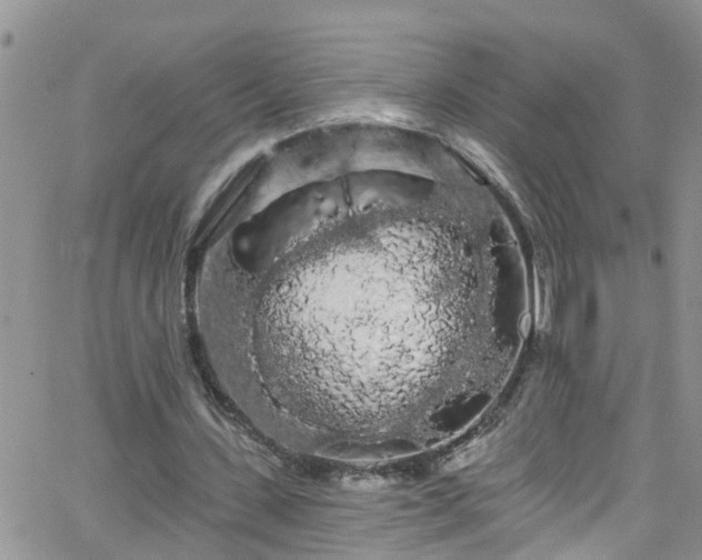 X0000066090531200603171058