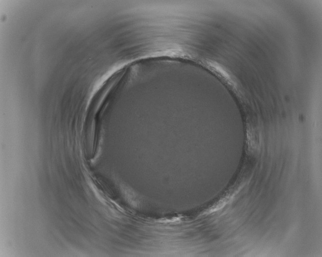 X0000066090532200603171058