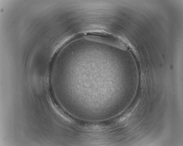 X0000066090533200603171058