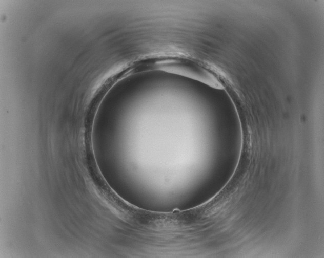 X0000066090535200603171058