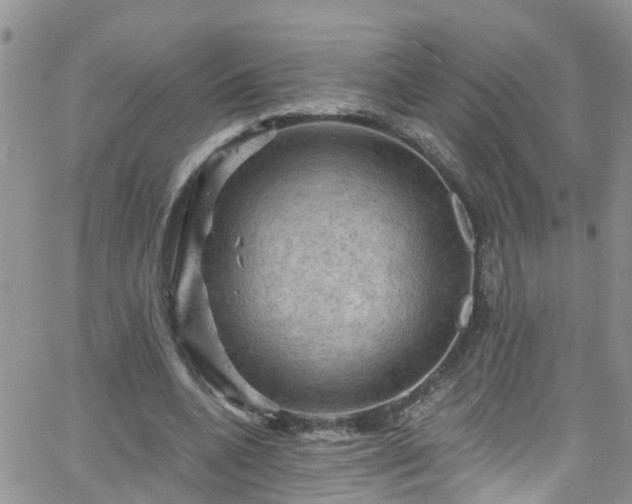 X0000066090536200603171058