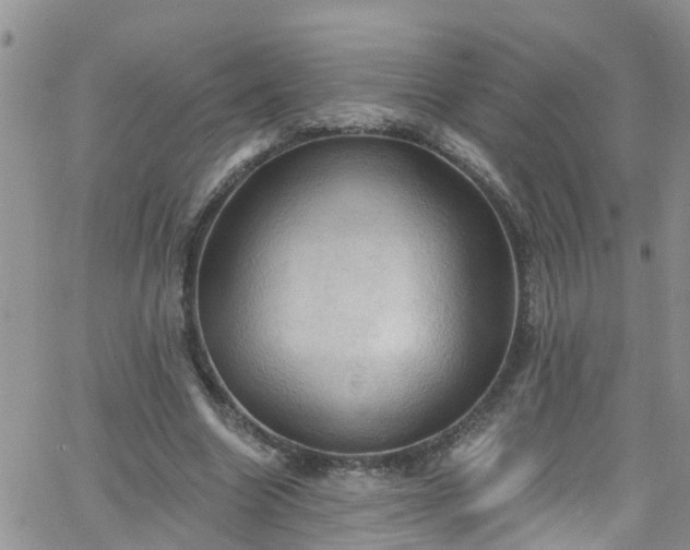 X0000066090538200603171058